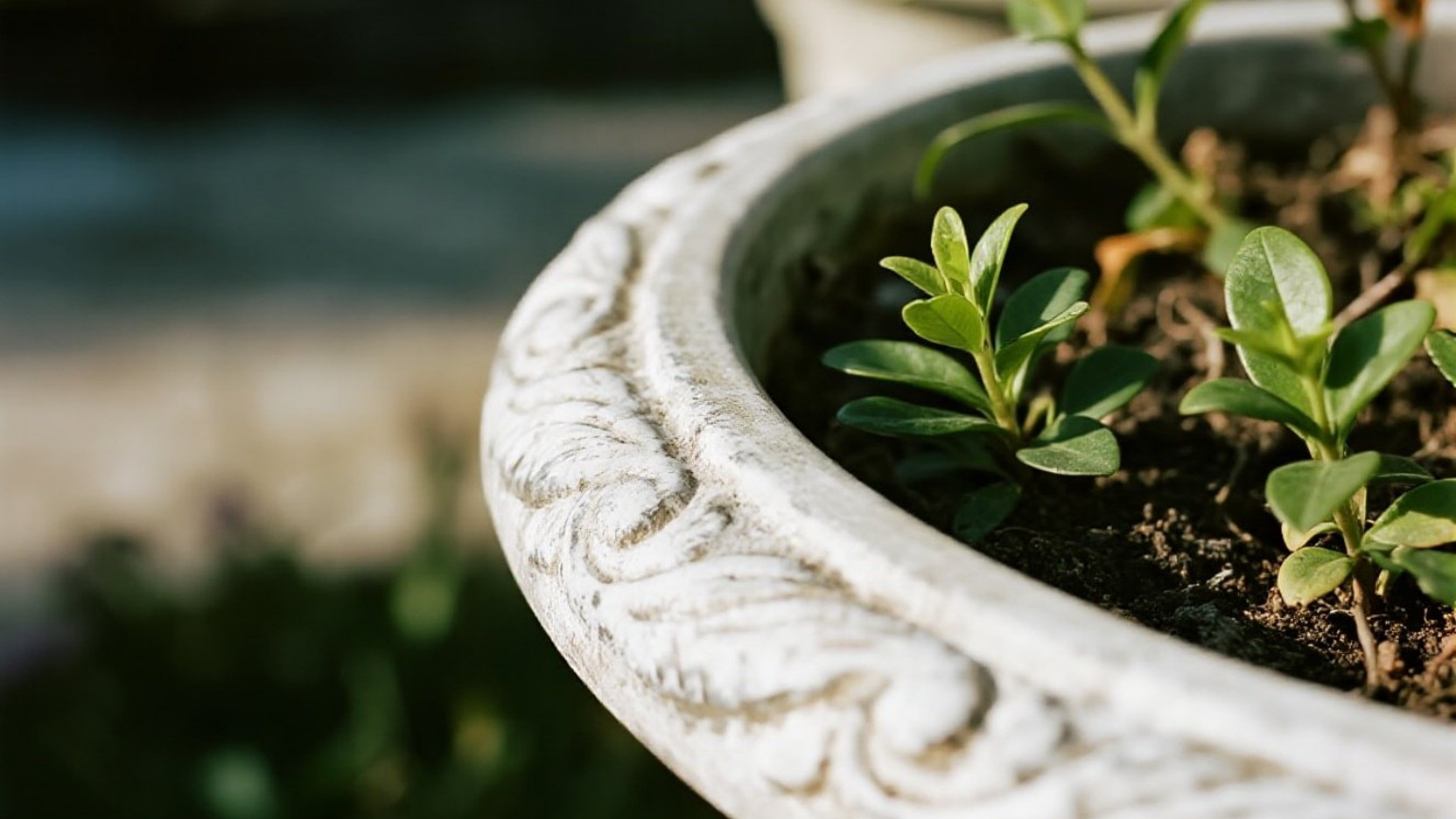 Custom flower pot